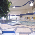 
                        The pool at Embassy Suites