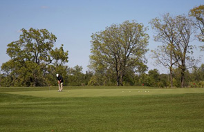 Man golfing at Grand Niagara